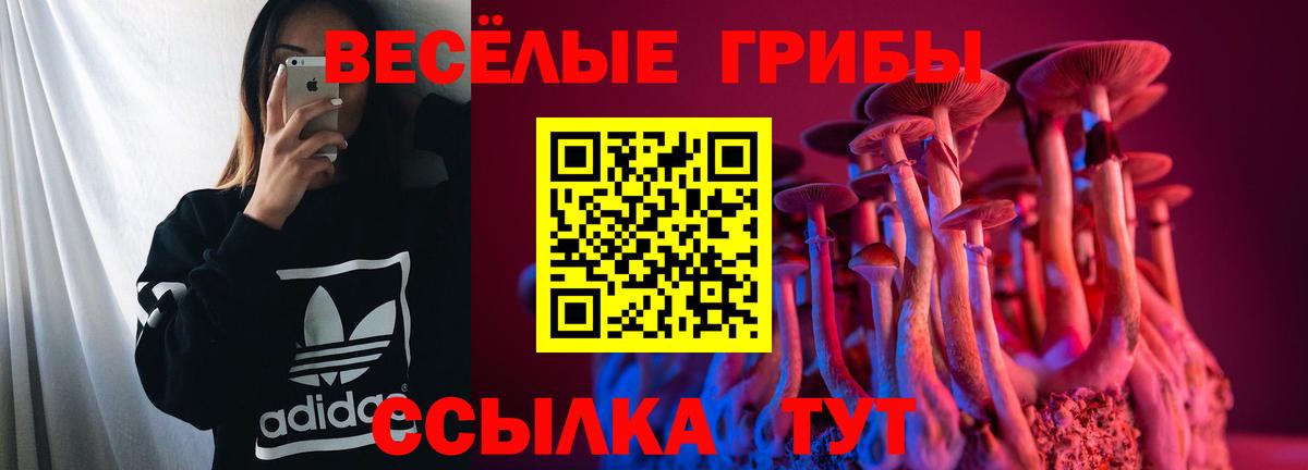 Псилоцибиновые грибы Psilocybe  Вход с VPN  Джанкой 